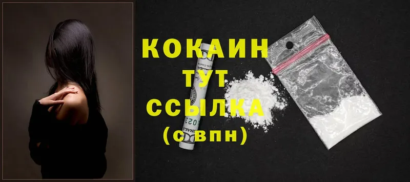 МЕГА ссылка  Новоузенск  Кокаин FishScale  купить наркотик 